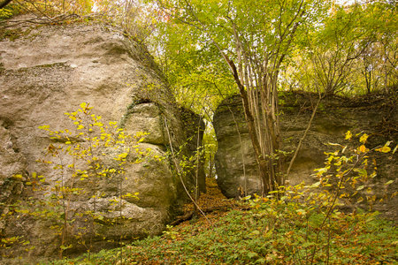 Autumn landscape with picturesque rocks in the forest. Nature of Polandの写真素材