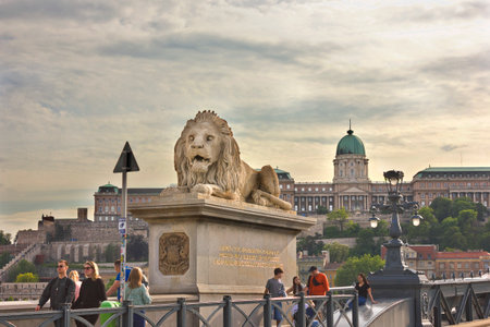 Lion statue on the bridge in Budapest.の写真素材