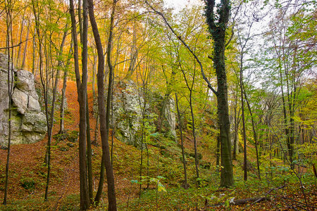 Autumn landscape with picturesque rocks in the forest. Nature of Polandの写真素材
