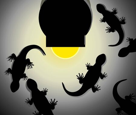 Illustration of fantasy of lizards around light	の写真素材
