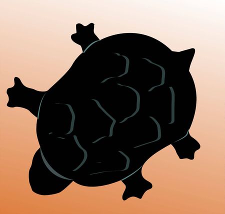 Illustration of Turtle in brownish background	の写真素材