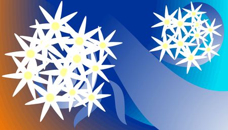 Digital image of a beautiful  blossom of flowerの写真素材