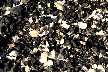 Pebbles, shells and small debris mixed with sand, trash backgroundの写真素材