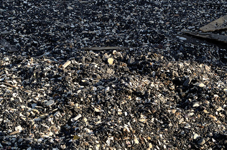 Pebbles, shells and small debris mixed with sand, trash backgroundの写真素材