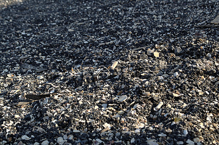 Pebbles, shells and small debris mixed with sand, trash backgroundの写真素材