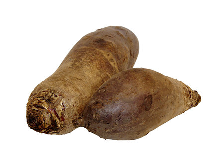 Two brown ripe unpeeled beetroots isolated on white backgroundの写真素材