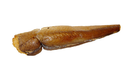 One golden gutted fish without head smoked hake isolated on white background