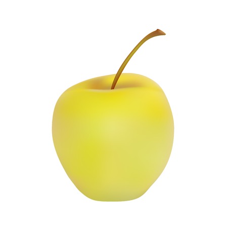 Ripe yellow realistic apple isolated on white backgroundのイラスト素材