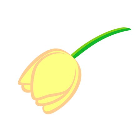 Vector illustration, flat cartoon yellow tulip flower isolated on white backgroundのイラスト素材