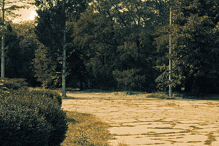 Landscape park area with trees and sidewalk tinted in orange-blue tones in vintage styleの写真素材
