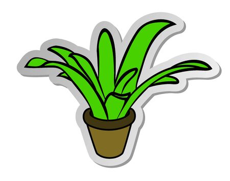 Vector illustration, sticker of green plant in pot in flat cartoon style isolated on white backgroundのイラスト素材