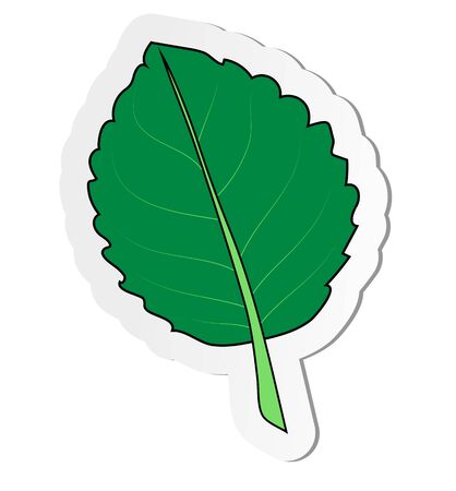 Vector illustration, sticker of green Gloxinia leaf in flat cartoon style isolated on white backgroundのイラスト素材