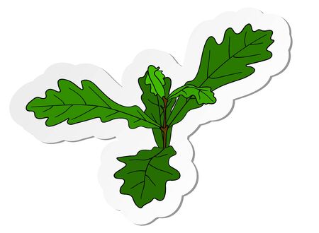 Vector illustration, sticker of small oak tree with few leafs in flat cartoon style isolated on white backgroundのイラスト素材