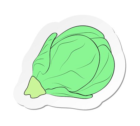 Vector illustration, sticker of branch of Brussels sprout in flat cartoon style isolated on white backgroundのイラスト素材