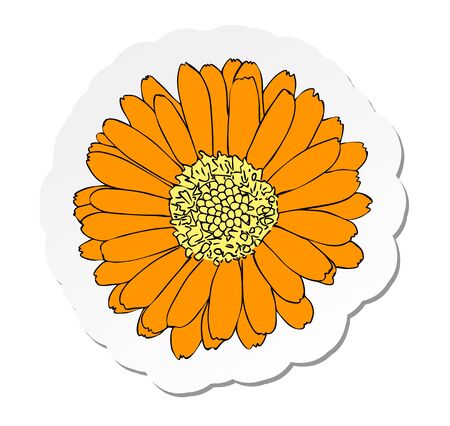 Vector illustration, sticker of yellow marigold flower in flat cartoon style isolated on white backgroundのイラスト素材