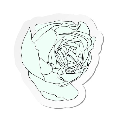 Vector illustration, sticker of white rose bud flower in flat cartoon style isolated on white backgroundのイラスト素材