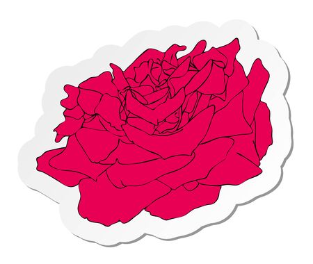 Vector illustration, sticker of red rose flower in flat cartoon style isolated on white backgroundのイラスト素材