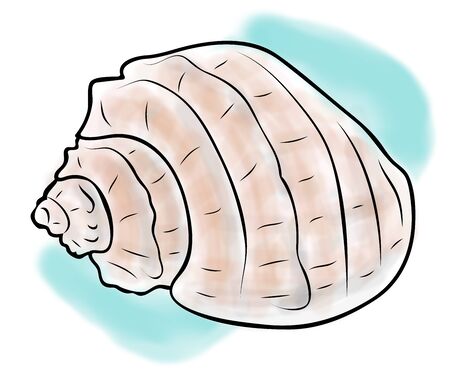 Digital illustration, color sketch of empty sea snail shell on blue background, outline hand painted...