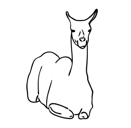 Vector illustration, isolated lying llama in black and white colors, outline original hand painted drawingのイラスト素材