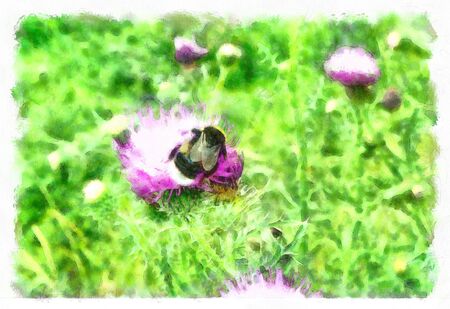 Digital illustration: blooming flowers close-up in watercolor painting styleの写真素材