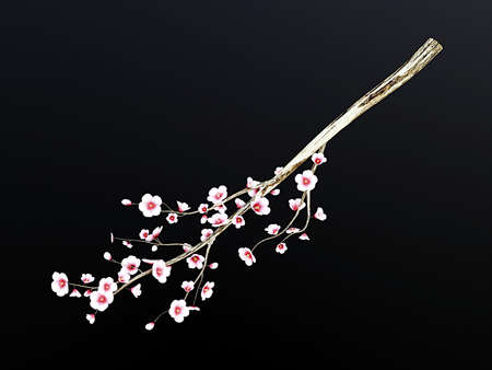 Pink cherry branch with flowers isolated on black background, illustration of sakura for design, 3d renderingの写真素材