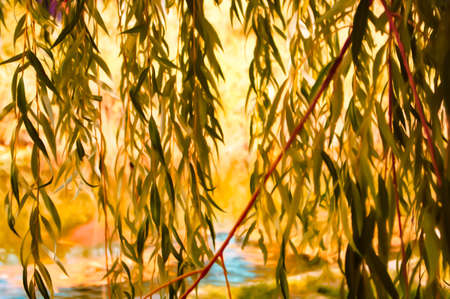 Artistic realistic illustration of toned natural floral background with beautiful willow tree branchesの写真素材