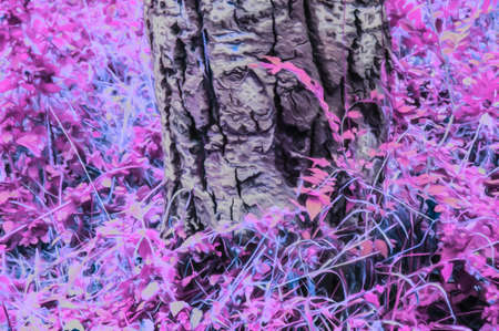 Artistic realistic illustration of toned natural floral background design with beautiful tree branchesの写真素材