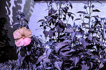 Artistic realistic illustration of toned natural floral background with beautiful flowerの写真素材