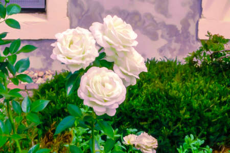 Artistic realistic illustration of toned natural floral background with beautiful flowersの写真素材