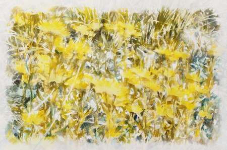 Watercolor painting of blooming flowers. Modern digital art, imitation of hand painted with aquarells dyeの写真素材