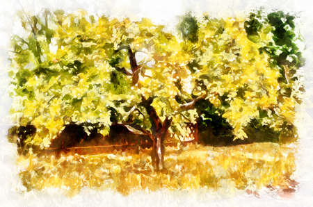 Watercolor painting of apple tree in bright sunny day. Modern digital art, imitation of hand painted with aquarells dyeの写真素材