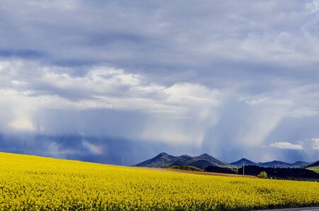 Beautiful and colorful fields in Navarra, Spain.