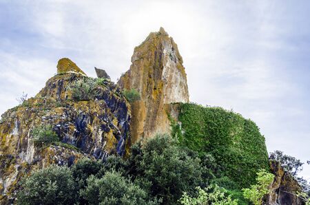 Big rock with plant grown on it and beautiful sky.の写真素材