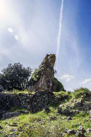 Big rock with plant grown on it and beautiful sky.の写真素材