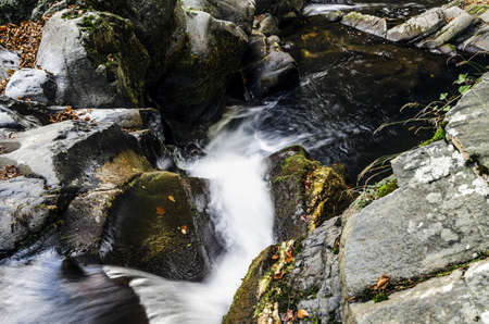 Beautiful picture at the river, with great details and high resolution. Te picture is takken in...