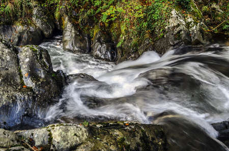 River in the Navarra's forest. One shot on this beautiful place with high quality and great details.