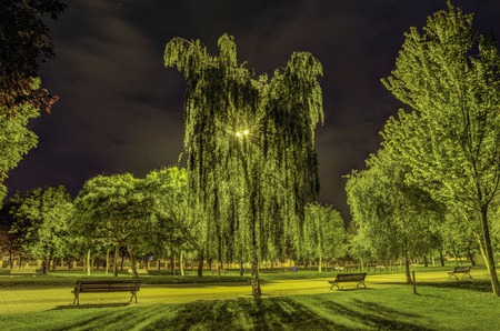 Night scene inside the park at Pamplona cityの写真素材