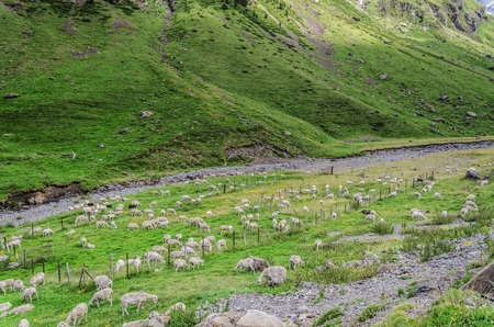 A picture from the valley in Pyrenees mountiansの写真素材