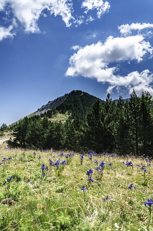 Amazing landscape at the Pyrenees mountains in Spainの写真素材