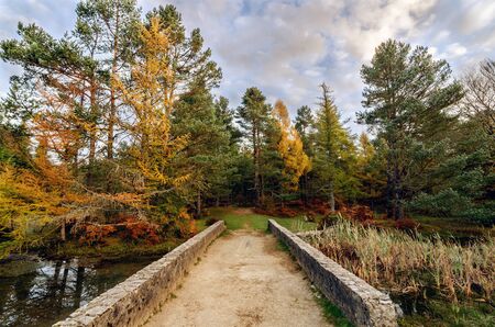The mountains of the Sierra de Entzia are the western continuation of the Navarra sierra of Urbasa.の写真素材