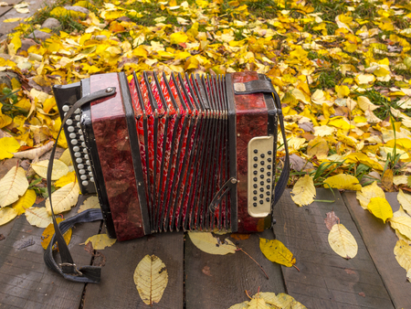 russian accordion on the carpet of leafsの写真素材