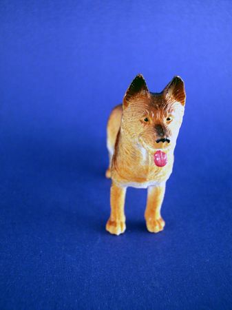 toy petの写真素材