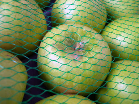 granny smith applesの写真素材