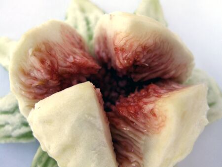 fresh fig