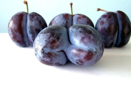 weird plumsの写真素材