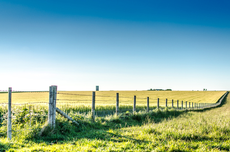 Linear perspective of a countryside fence through rural heartlandの写真素材