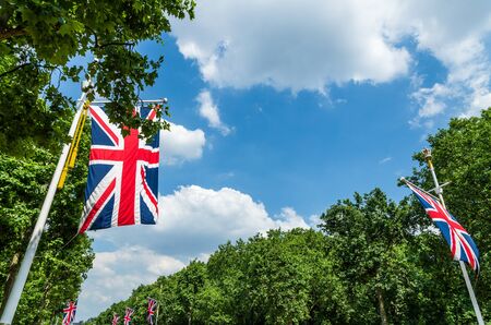 Union Jacks or Union Flags  (British flags) amongst the trees under a summer skyの写真素材