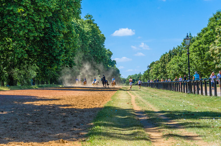 Horse riding, tourists and joggers at Hyde Park in summer, Londonの写真素材