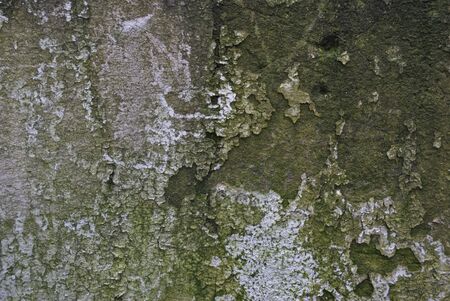 Grunge cracked stained paint texture on a wall.の写真素材