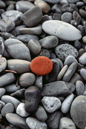 Red round stone on a background of gray stonesの写真素材